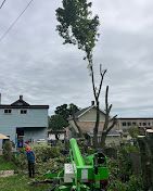 A green crane is cutting down a tree in front of a house.