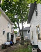 There is a tree in the backyard between two houses.