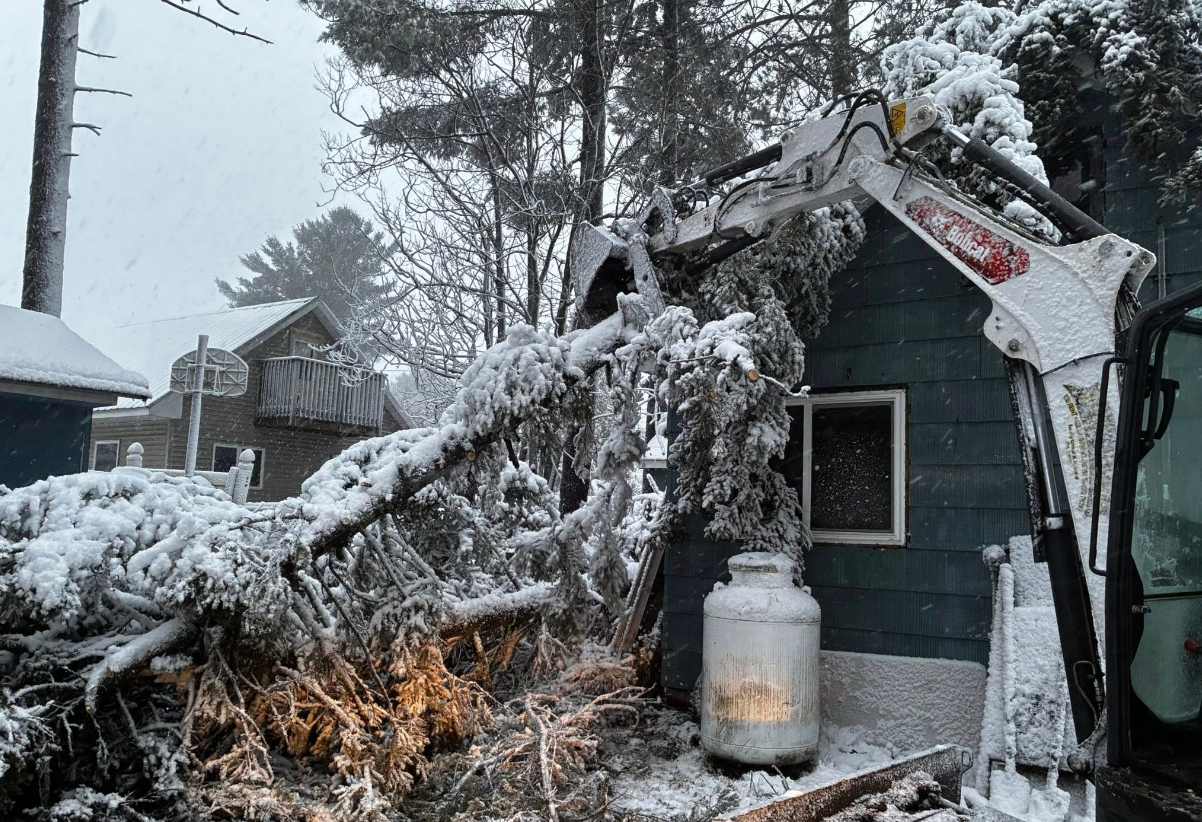 Excavator removing a snow-covered tree from a building. Winter scene with gray and white colors.