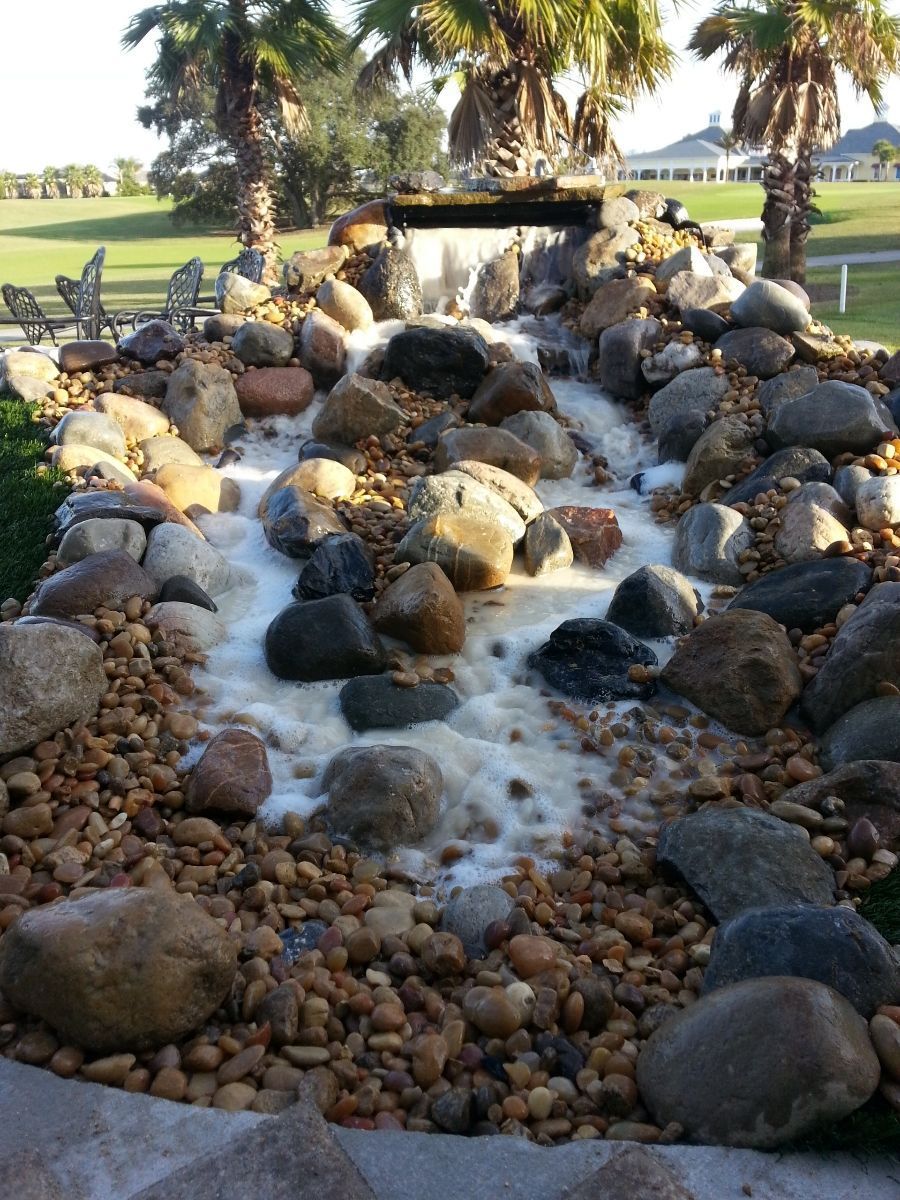 tranquil water feature lush greenery creates