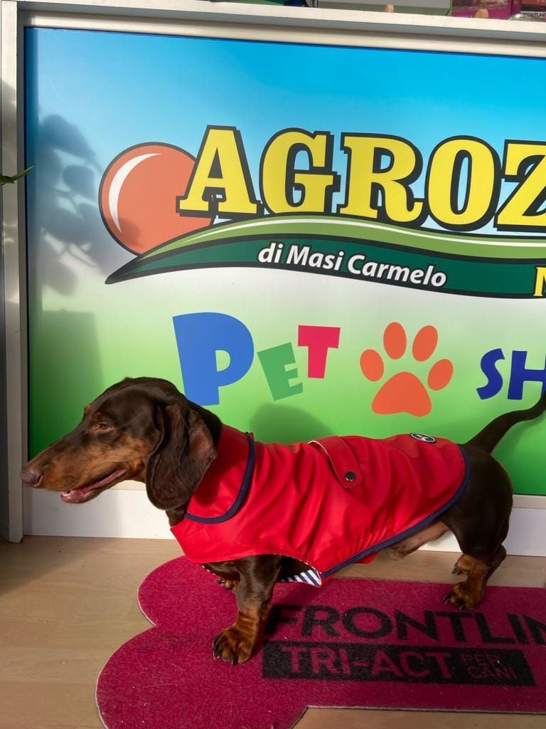 AGROZOO MARKET