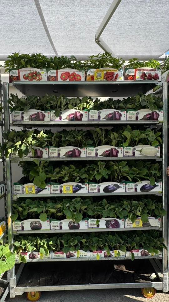 AGROZOO MARKET