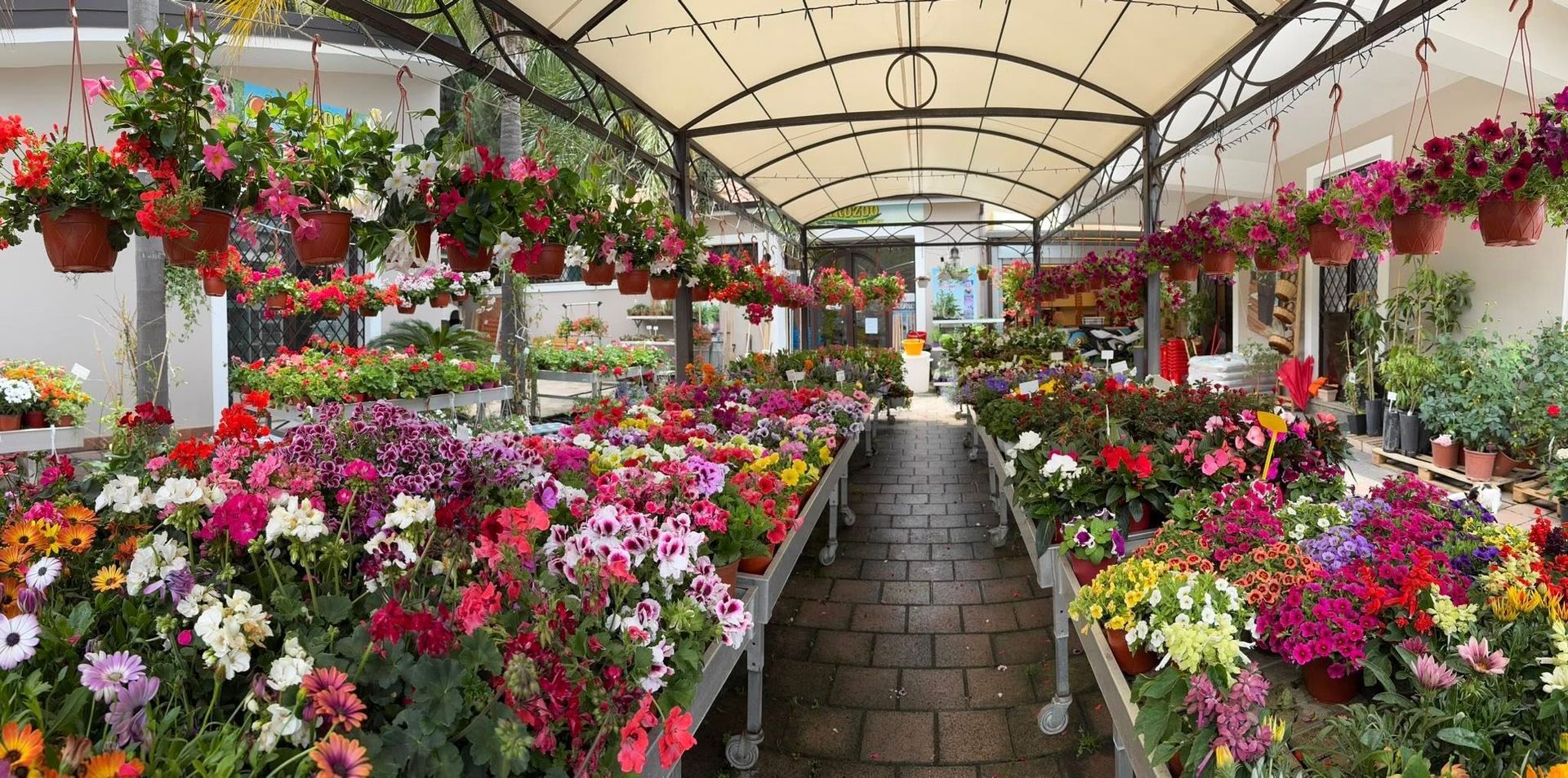 AGROZOO MARKET