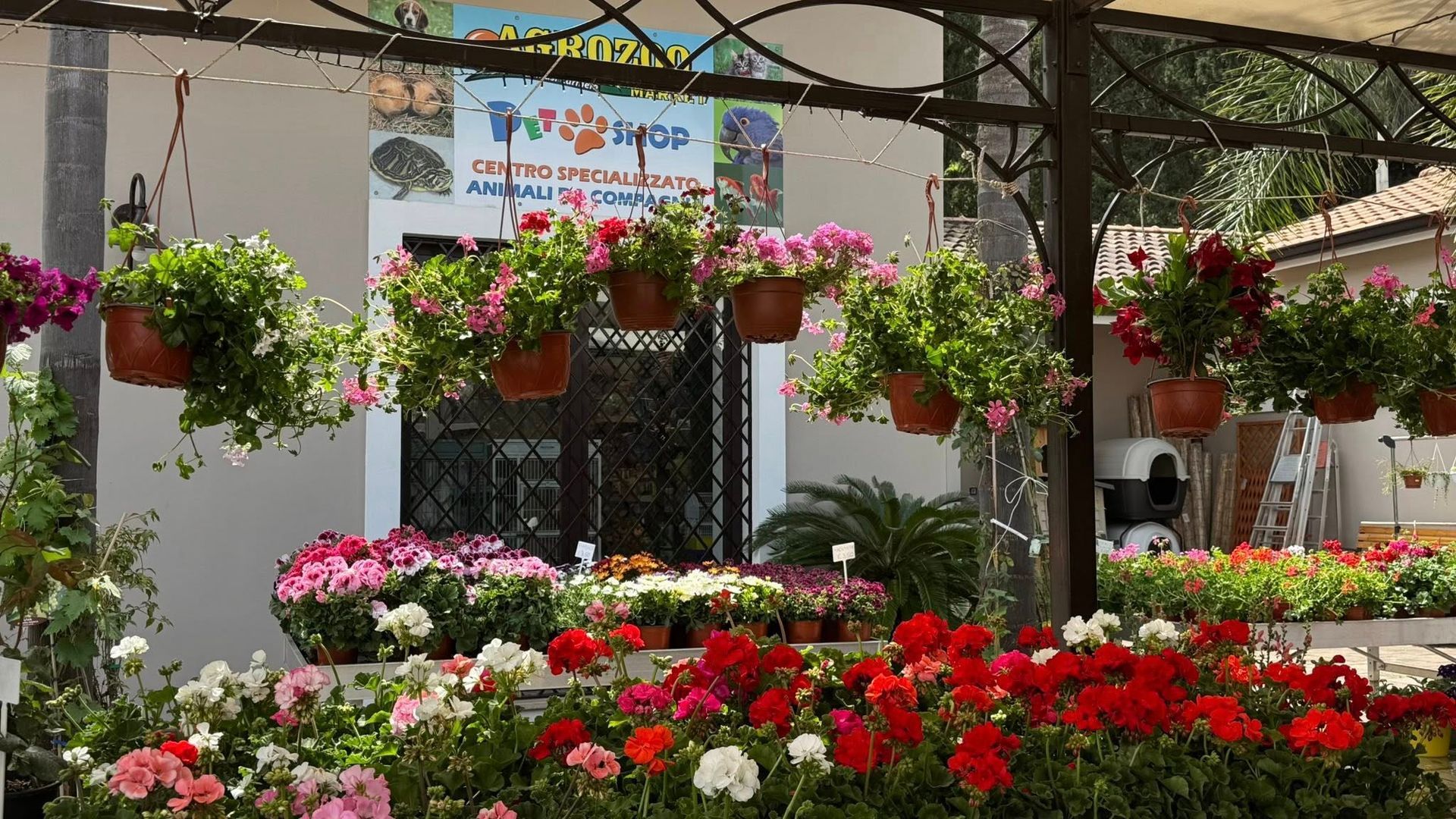 AGROZOO MARKET