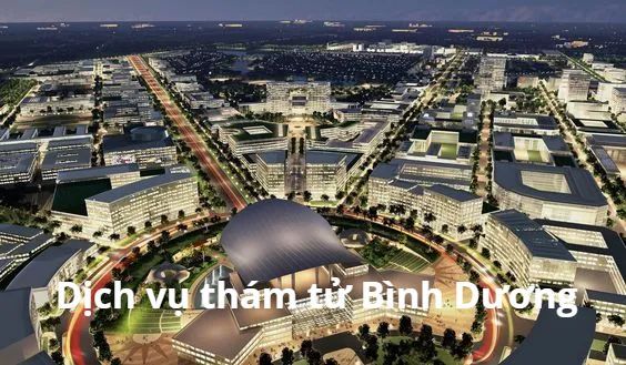 Thám tử Bình Dương - thám tử An Long 