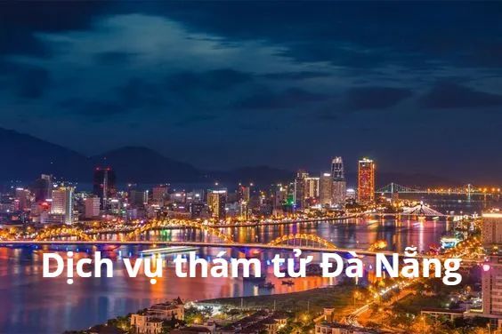 Thám tử Đà Nẵng - Thám tử An Long 