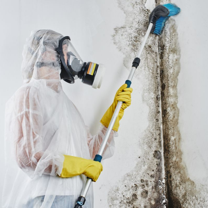 Person in protective suit and respirator spraying mold on a wall with a cleaning wand in Greenville SC
