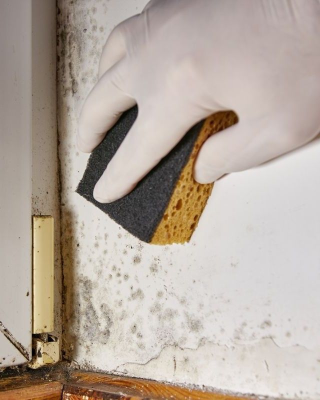 A person wearing gloves is cleaning a wall with a sponge