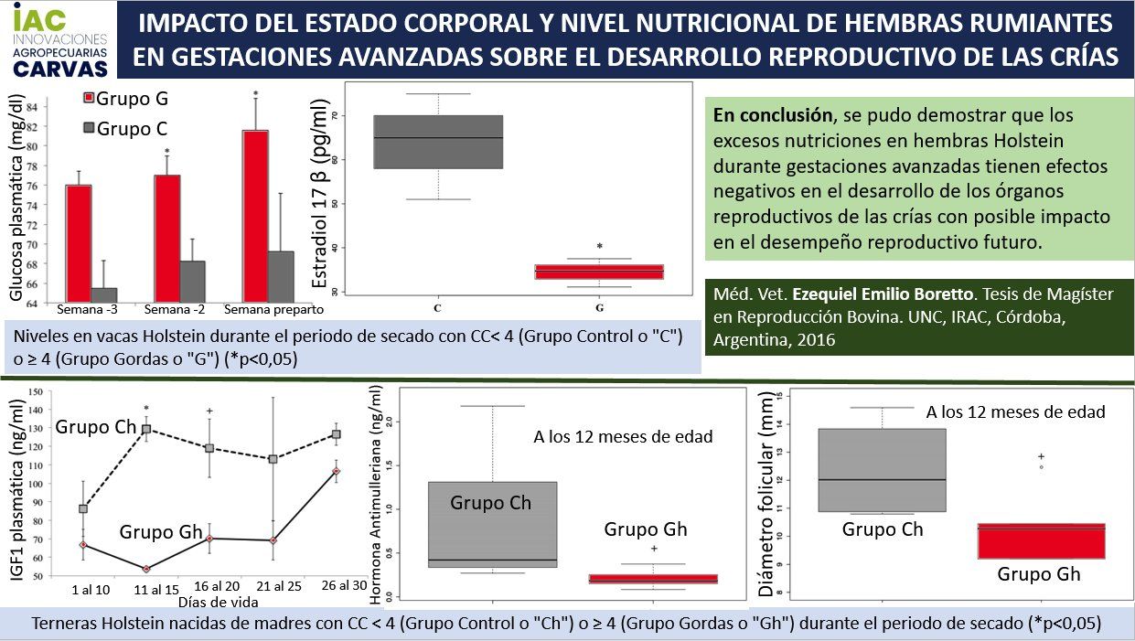 CC y Estado Nutricional