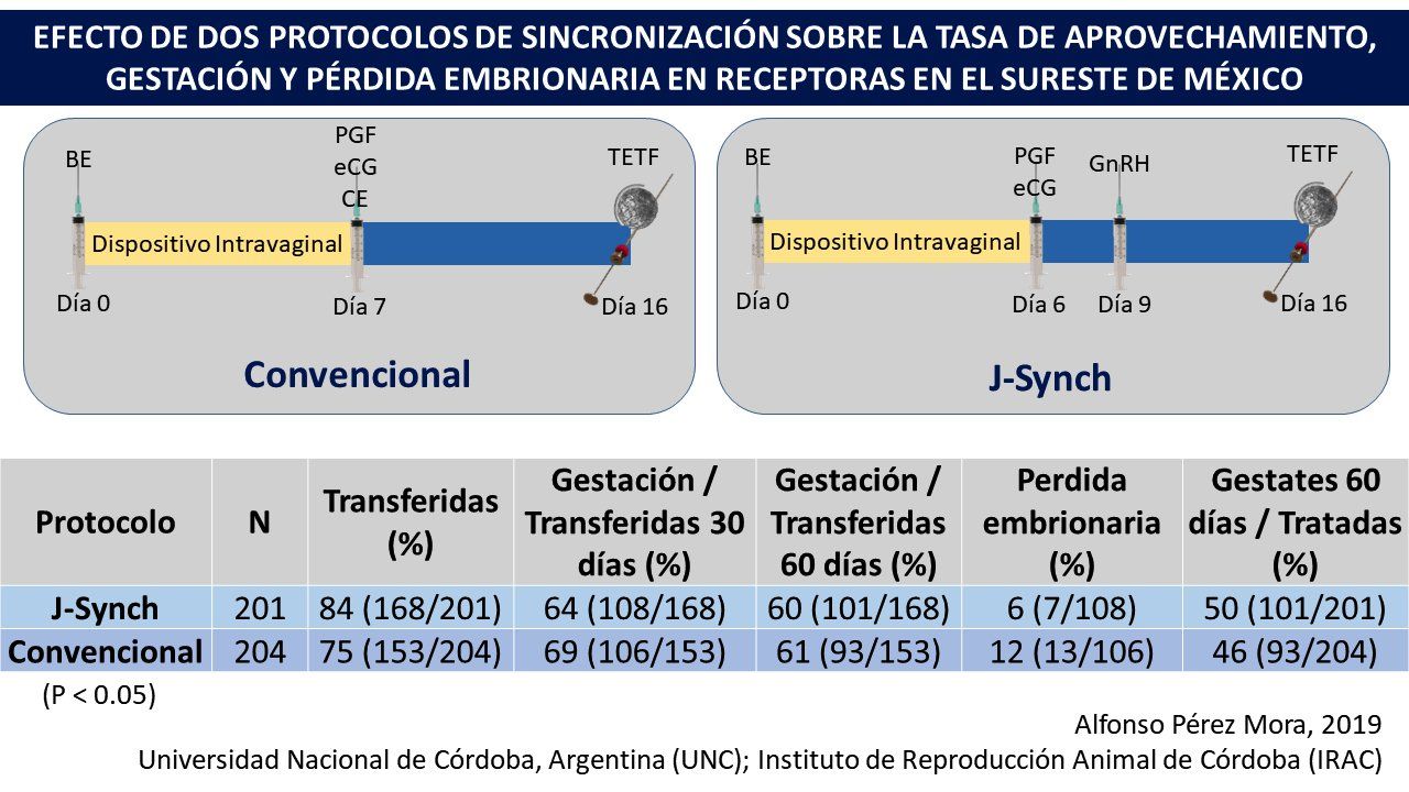 J.Synch y Convencional en TE