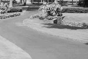 A black and white photo of a road with a statue in the middle of it.