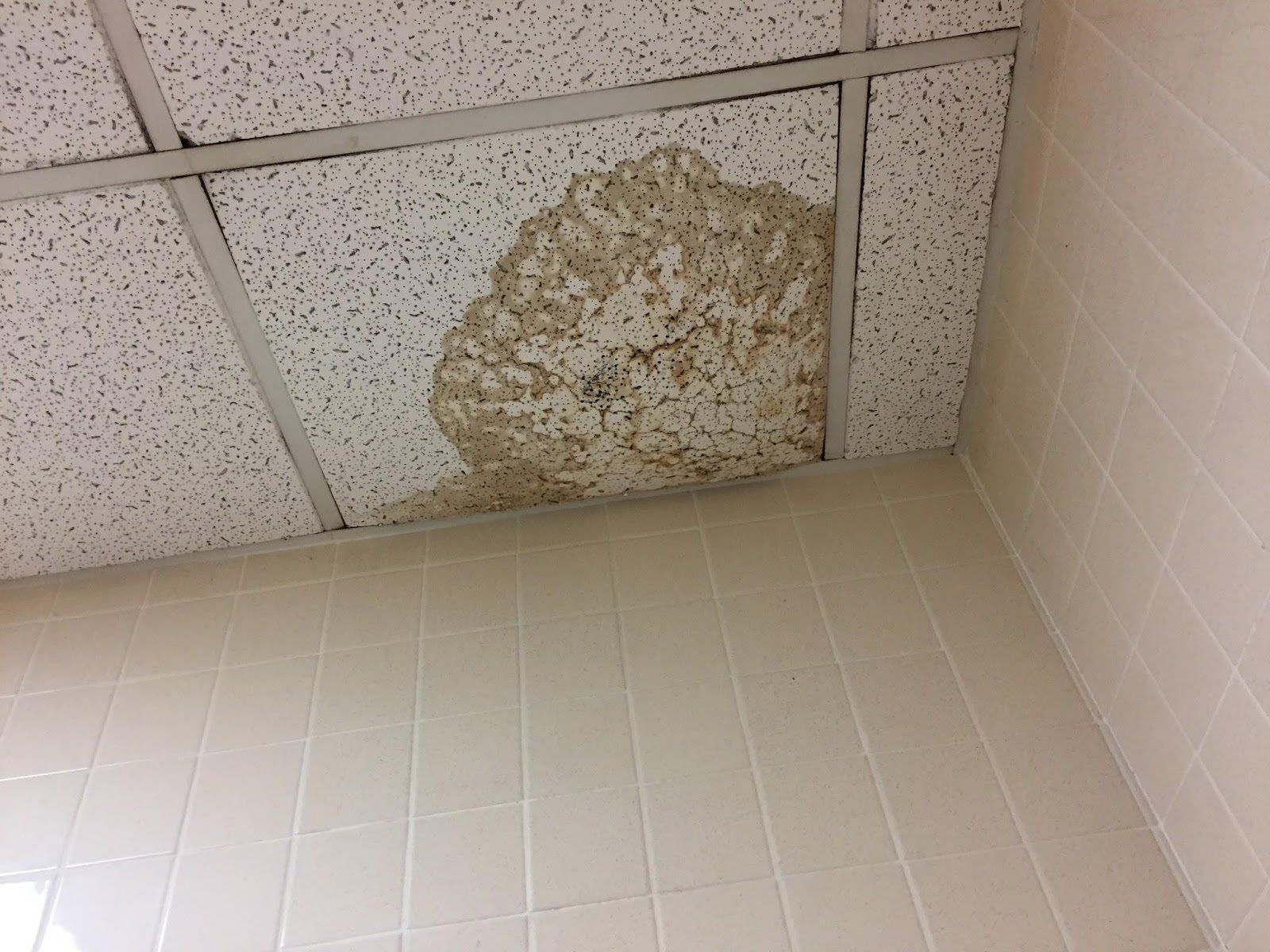 A ceiling tile with visible water damage
