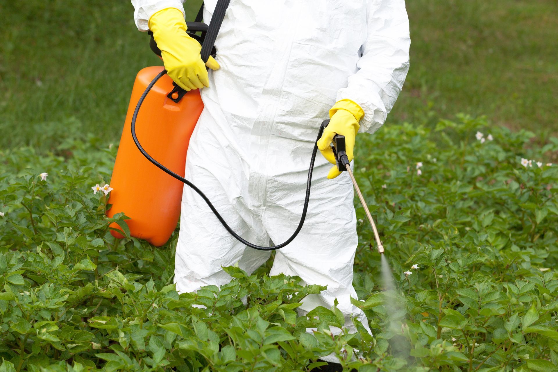 Pesticide Treatments - Bellevue, NE - Arbor Essence Tree Service LLC 