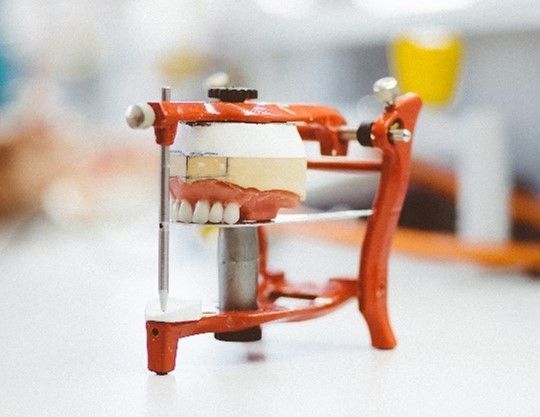 A model of a person 's teeth is sitting on a table.