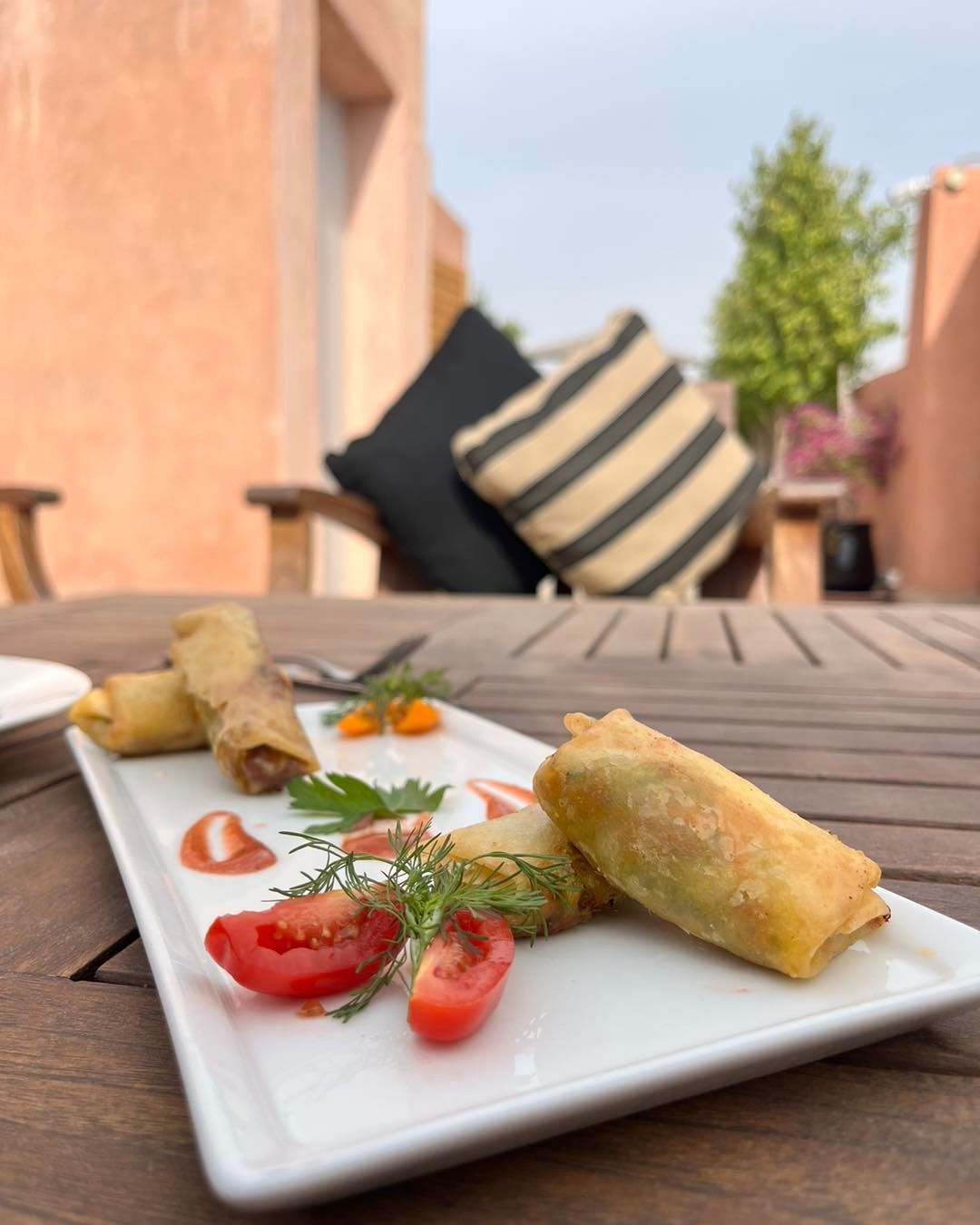 A plate of food on a table with a striped pillow in the background