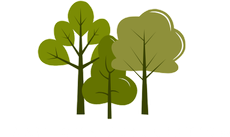 Trail Run Association