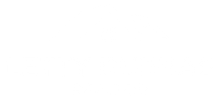 Letty Duenas Realtor logo