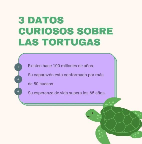 CENTRO VETERINARIO DR LINARES