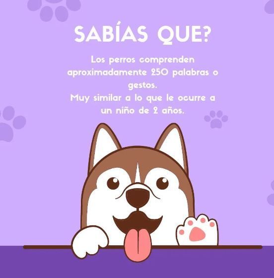 CENTRO VETERINARIO DR LINARES