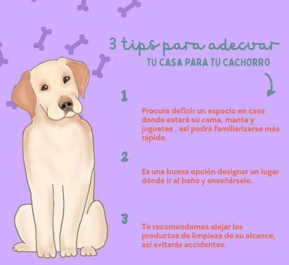 CENTRO VETERINARIO DR LINARES