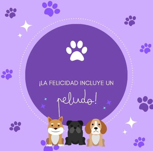 CENTRO VETERINARIO DR LINARES