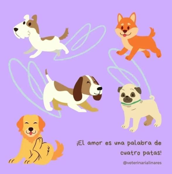 CENTRO VETERINARIO DR LINARES