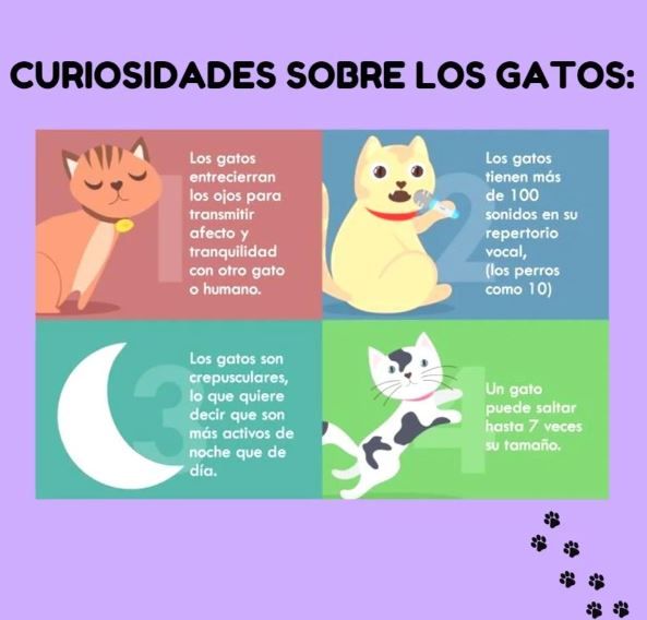 CENTRO VETERINARIO DR LINARES