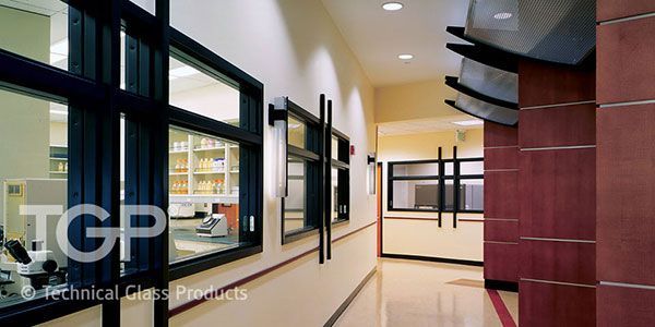 Hallway with glass windows to a lab. Dark frames on the windows, red and cream-colored walls.