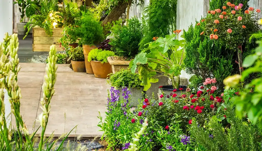 A garden filled with lots of potted plants and flowers.