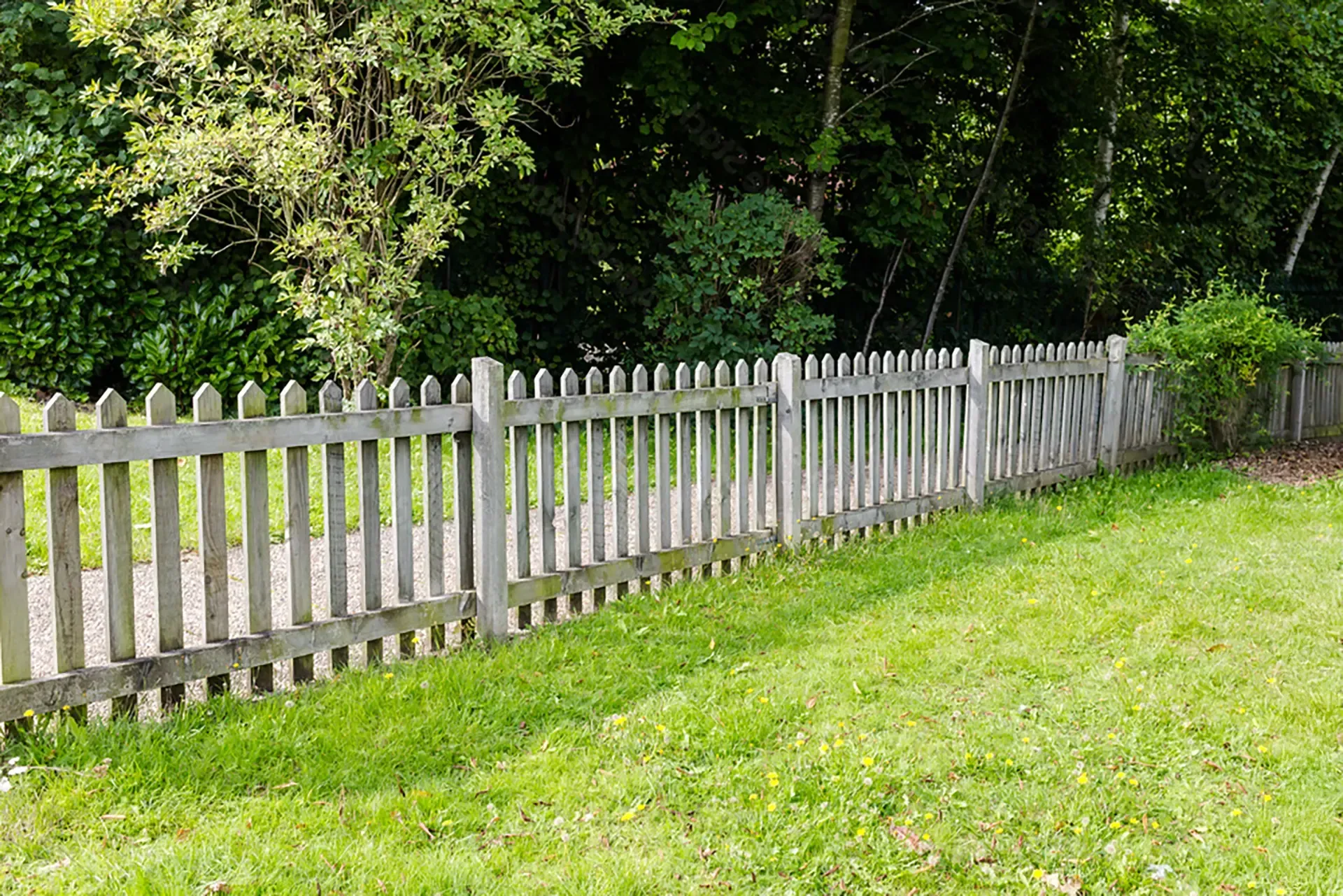 Wooden picket fence in a grassy yard with trees in the background.