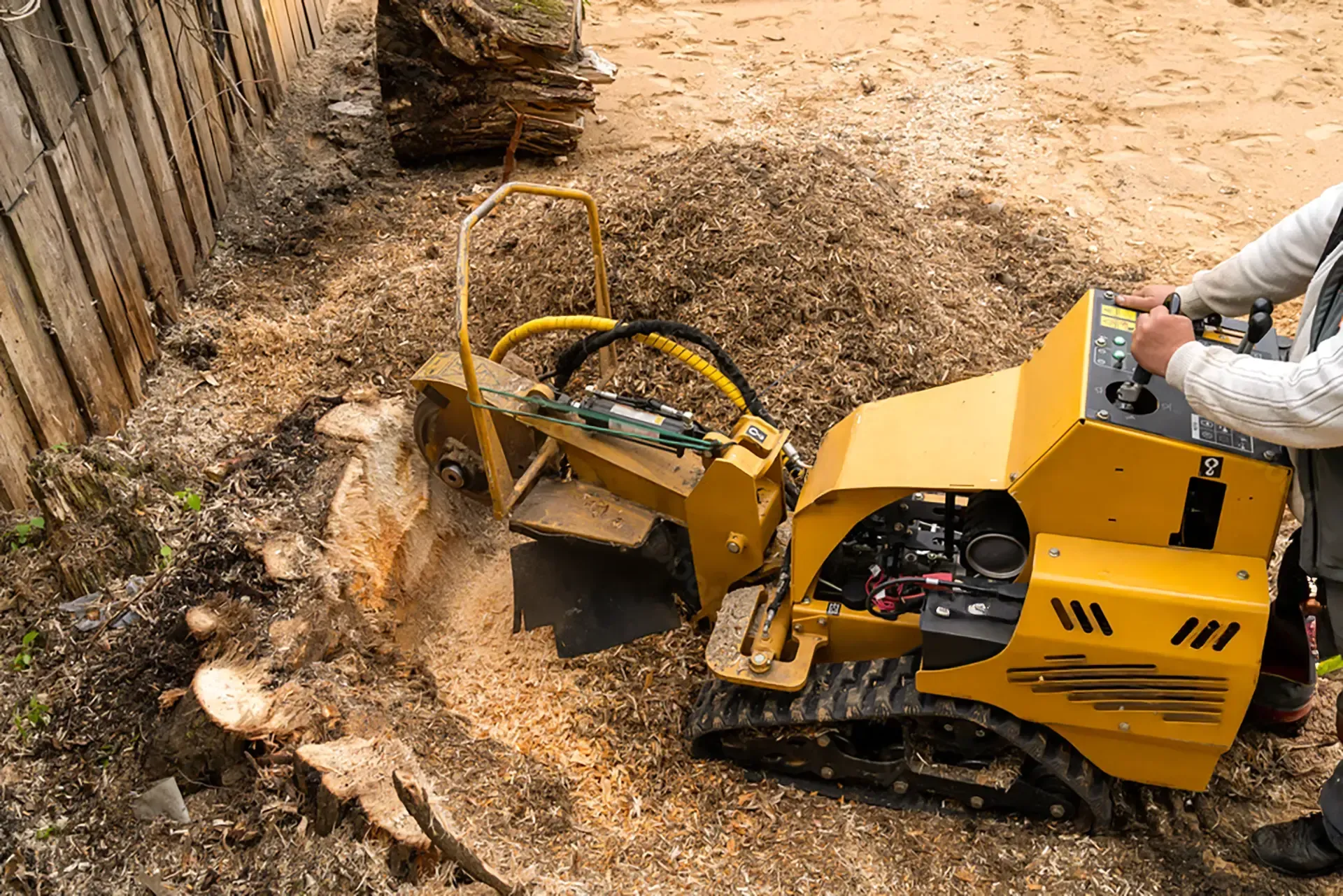 A person operating a yellow stump grinder, turning a tree stump into wood chips in an outdoor setting.