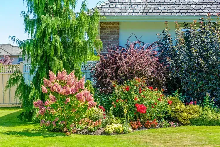 A house with a lush green lawn and a garden in front of it.