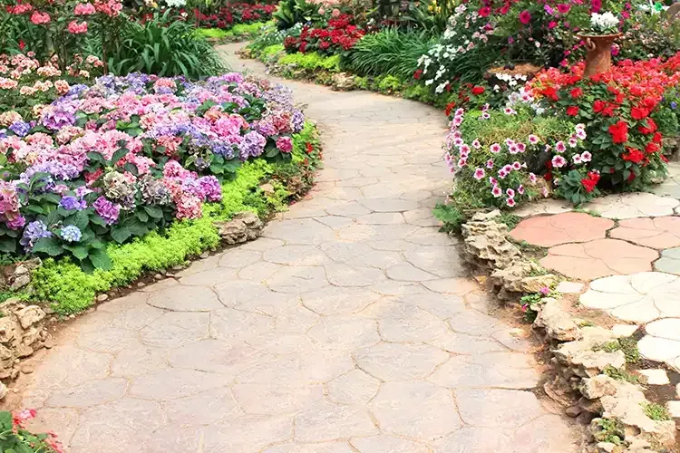 A stone walkway surrounded by flowers in a garden.