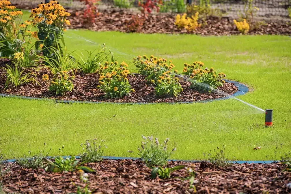 A sprinkler is spraying water on a lush green lawn in a garden.