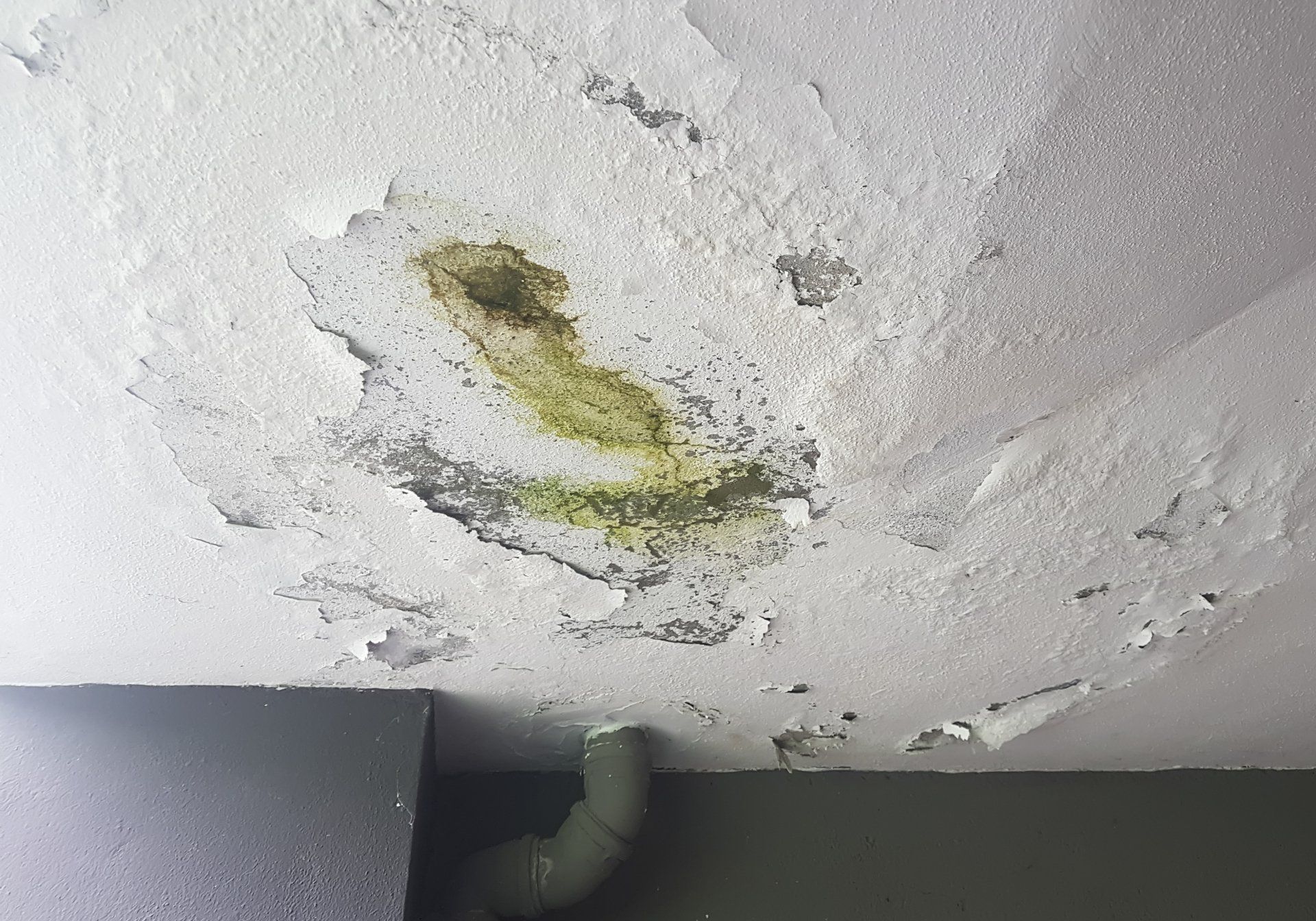 mold damage long beach township