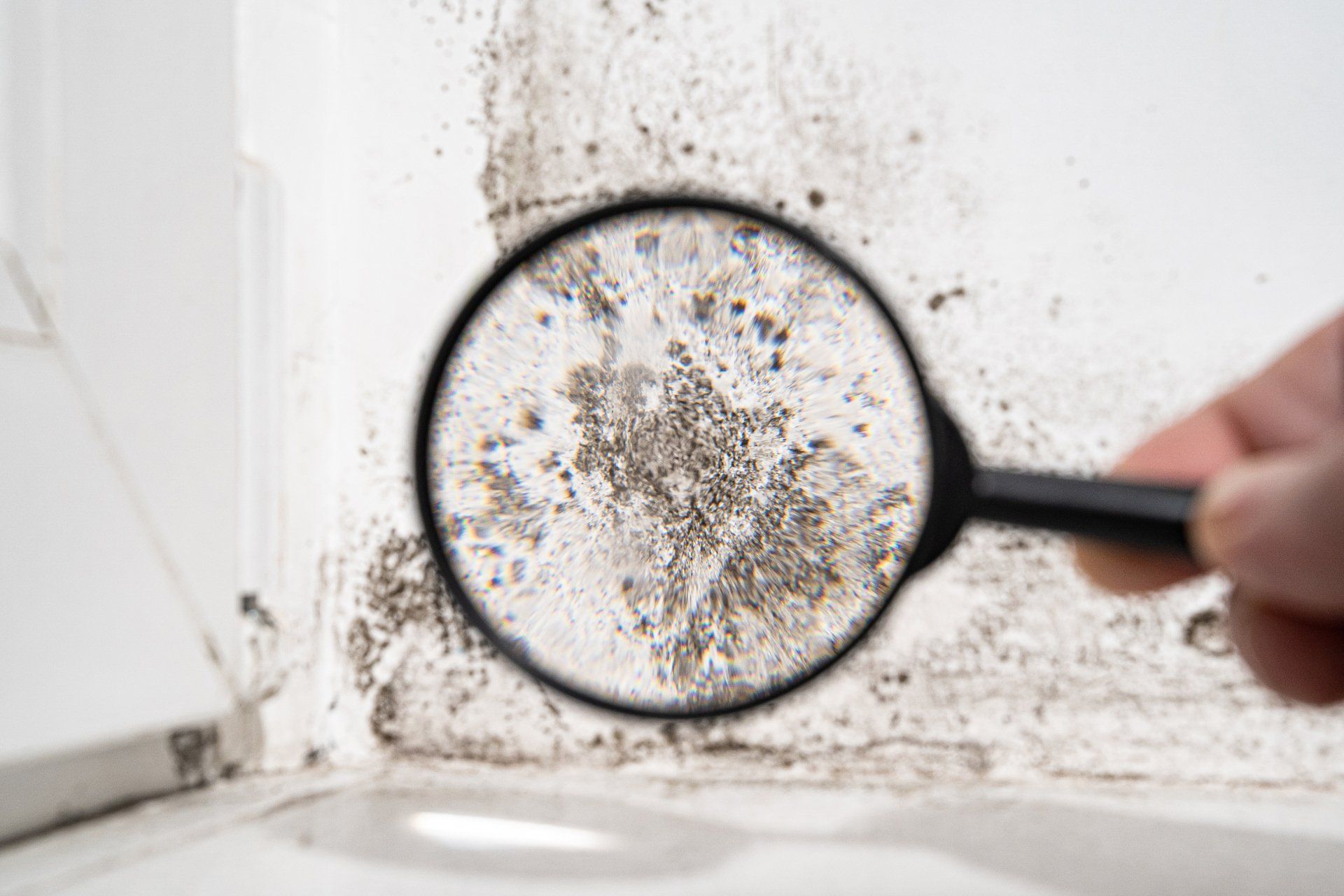 mold removal long beach township