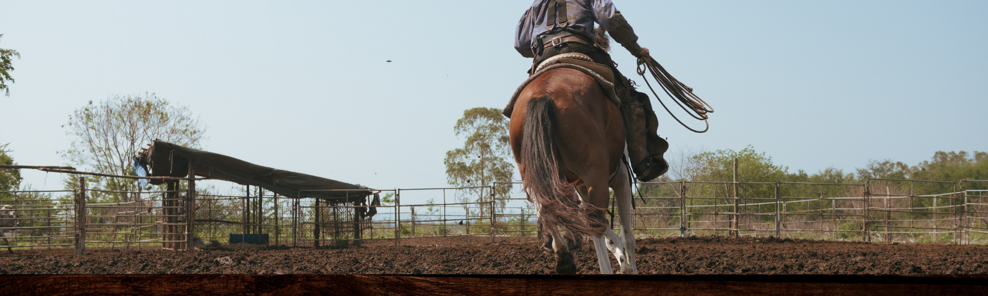 A person on horseback holds a lariat while riding across a dirt paddock in a rural outdoor setting.