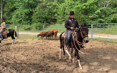 Two riders on horseback in a fenced, dirt enclosure with cattle grazing in the background.