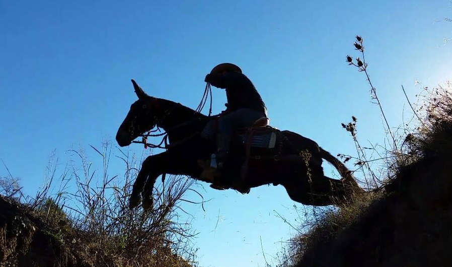 A silhouette of a person riding a horse as it jumps over a small gap in the terrain against a bright blue sky.