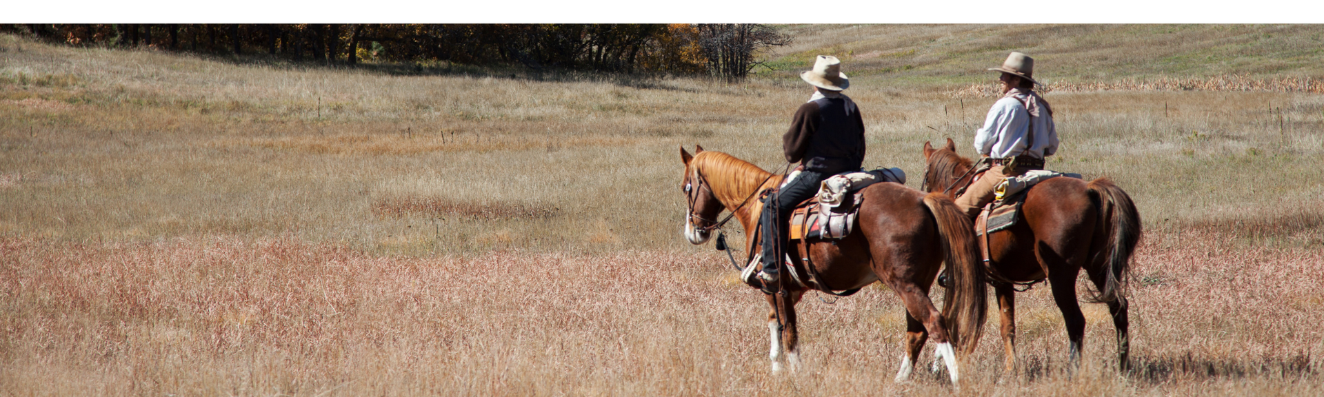 Two people ride horses through a dry, grassy field during the day.