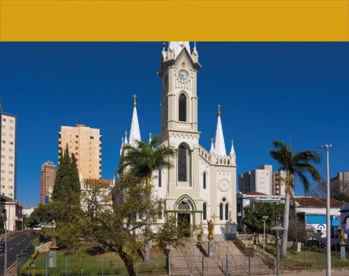 Nave espacial de Varginha, Minas Gerais