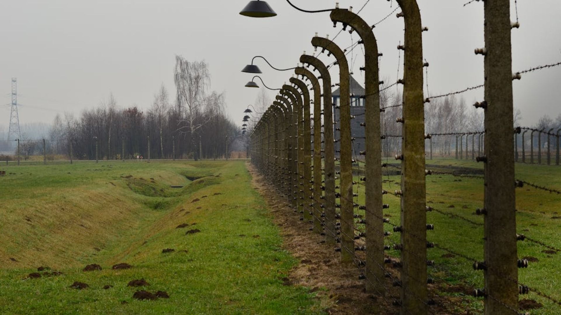 Valla de alambre de púas en el campo un día sombrío.