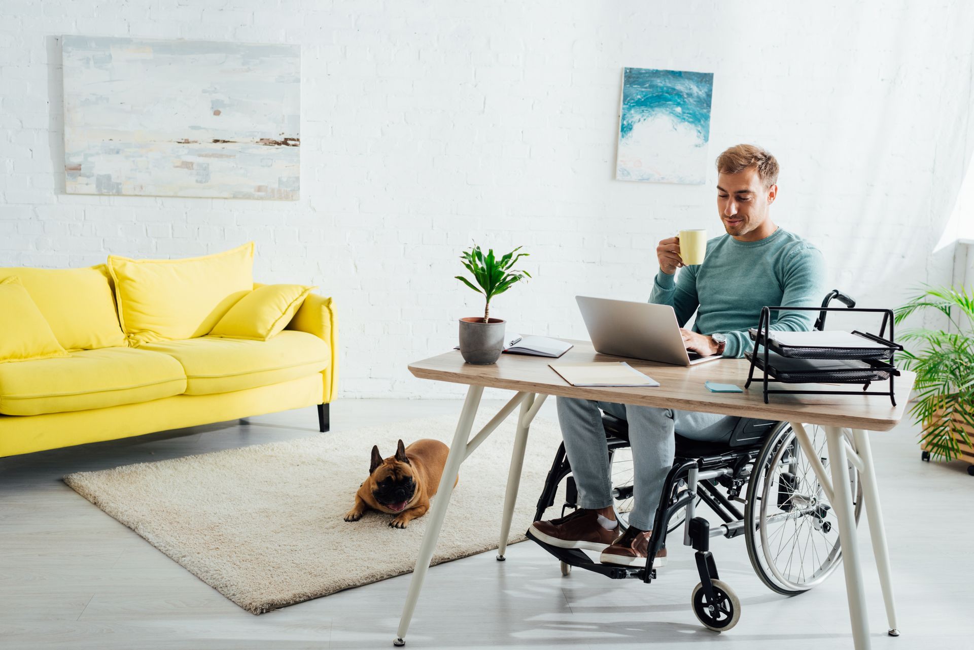 Man in wheelchair working on laptop at desk, holding a mug. French bulldog at his feet.