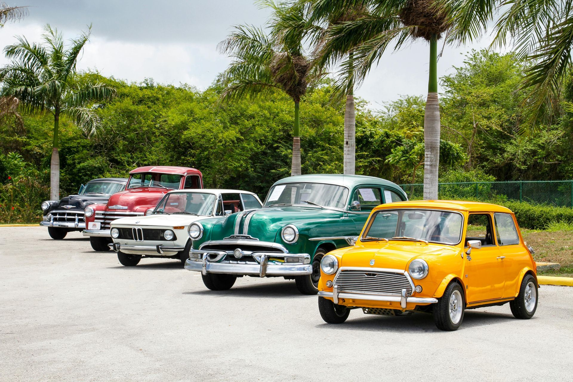 Lineup of colorful vintage cars parked outdoors, under palm trees.