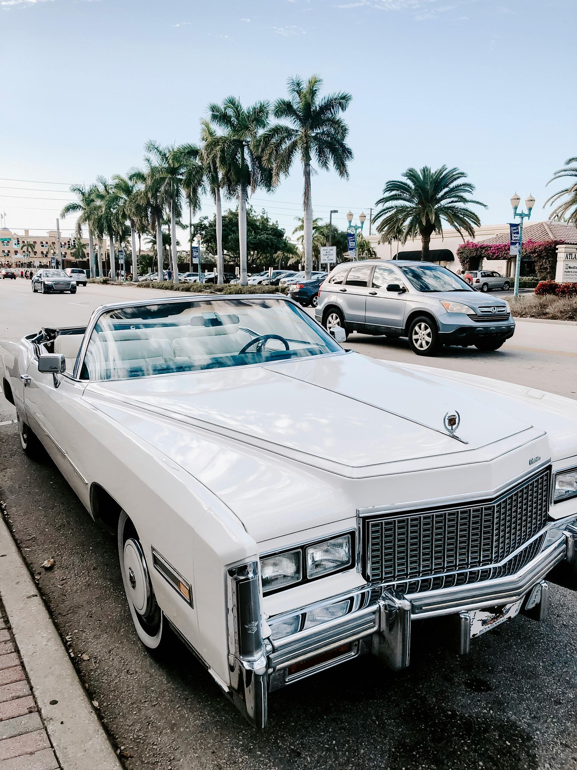White convertible parked on a street with palm trees.