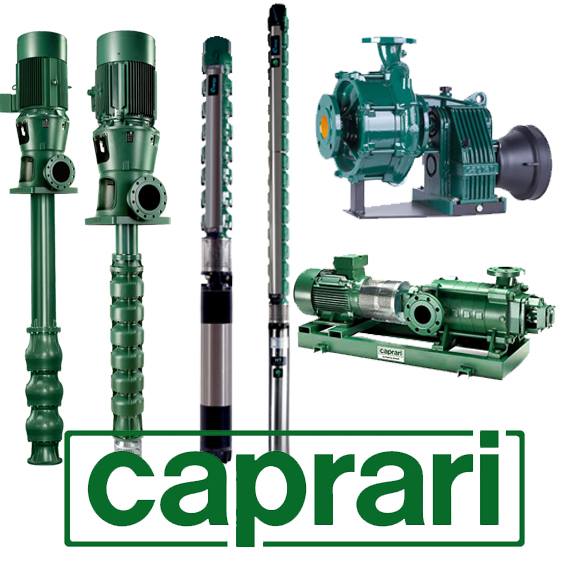 pompe a immersione caprari