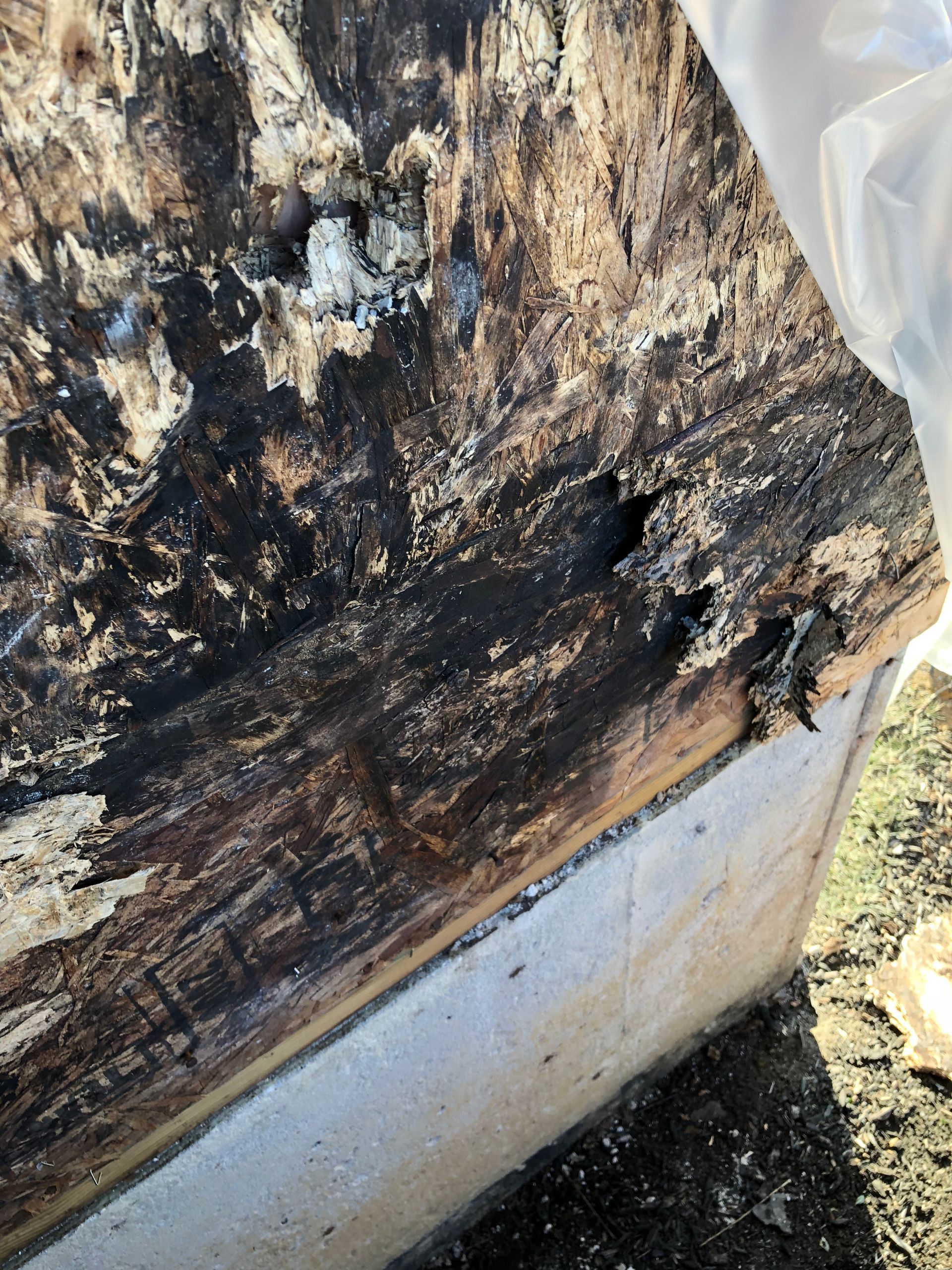 Close-up of weathered, dark wood on concrete base, showing deterioration with visible holes and discoloration.