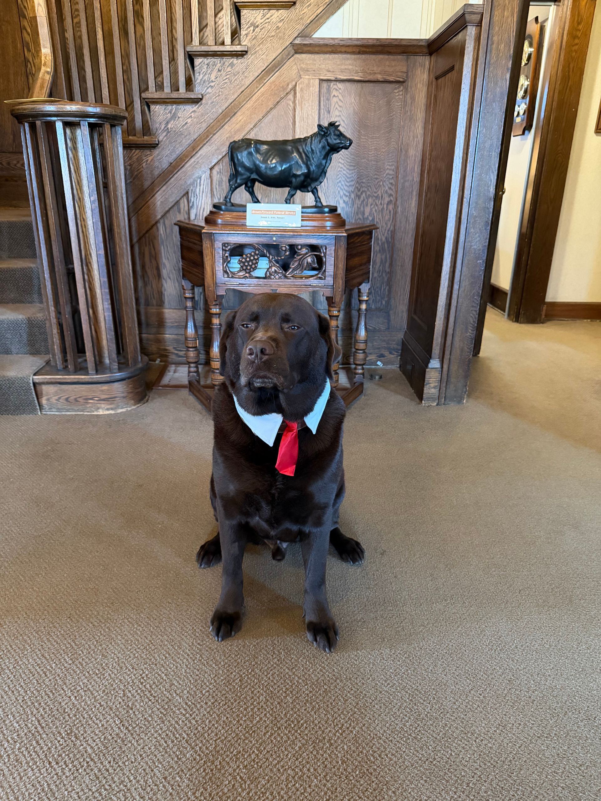 Staff Photo
