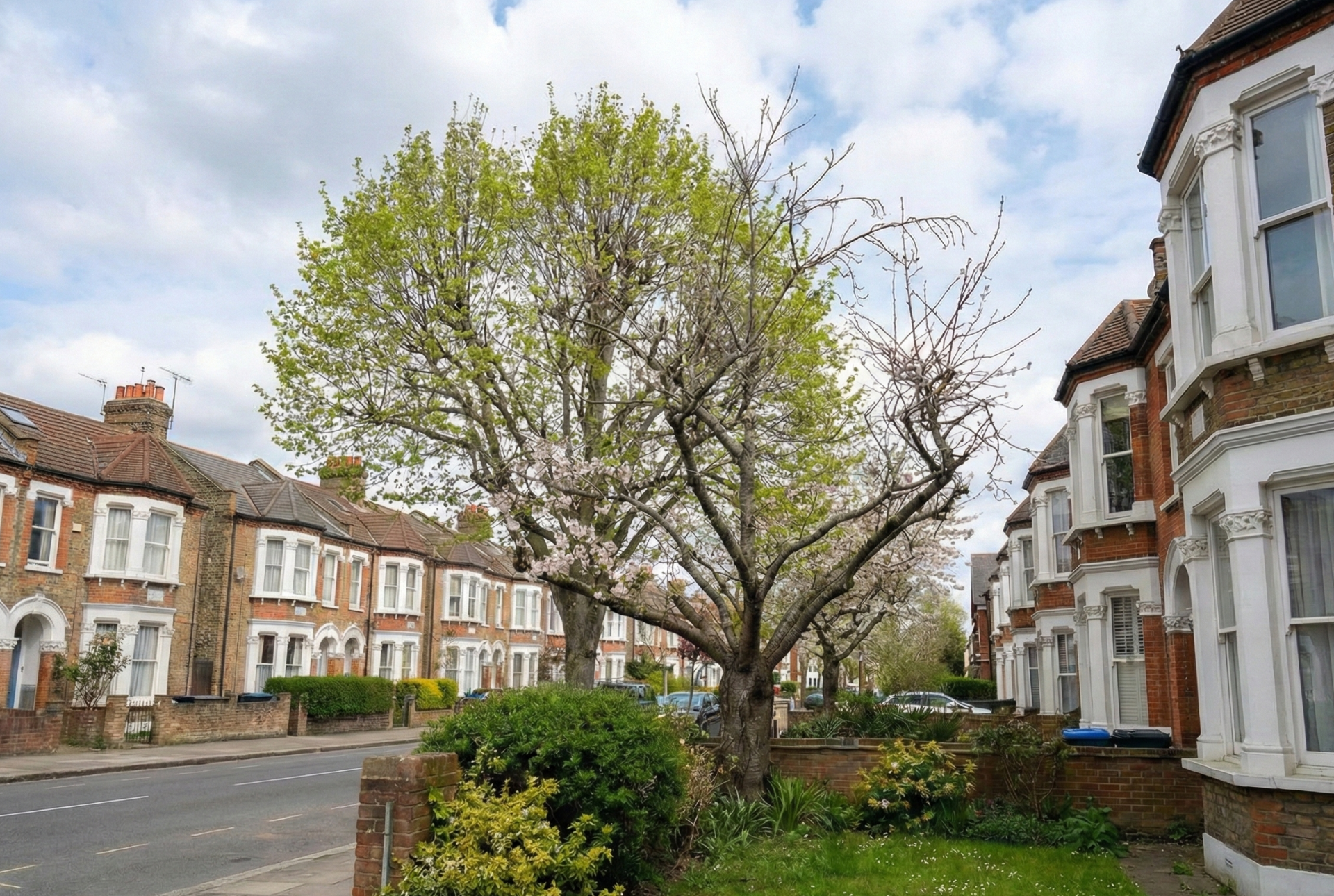 Professional Lawn Mowing