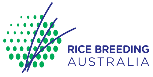 Rice Breeding Australia: Driving Rice Production in Leeton into The Future